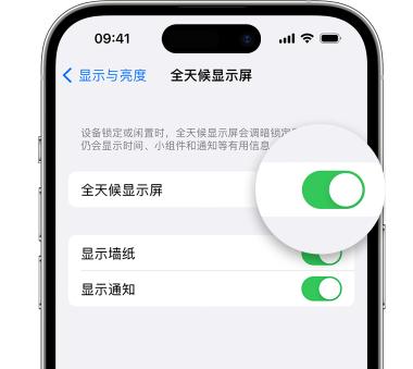 永嘉苹果15预约维修分享iPhone15如何设置全天候显示屏幕可见 